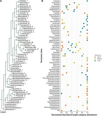 Computational analysis of the flexibility in the disordered linker region connecting LIM domains in cysteine–glycine-rich protein